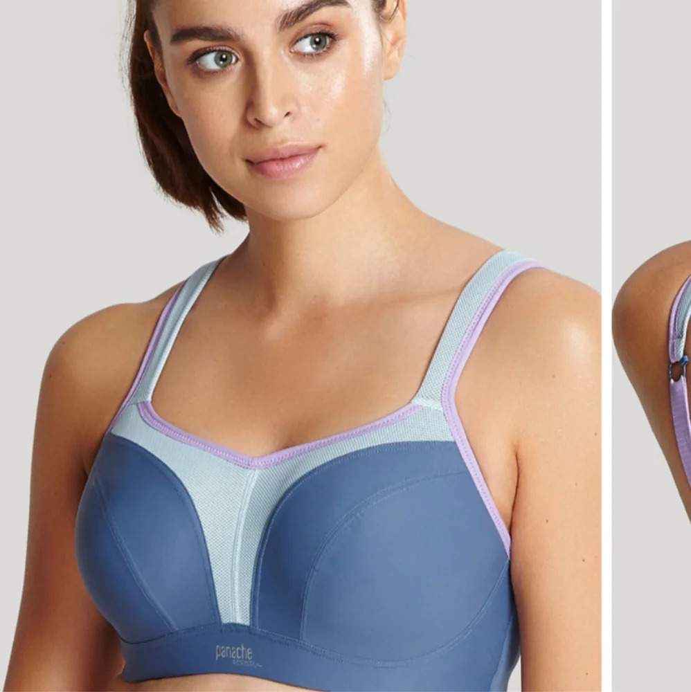 Panache Blue and Purple Sports Bra